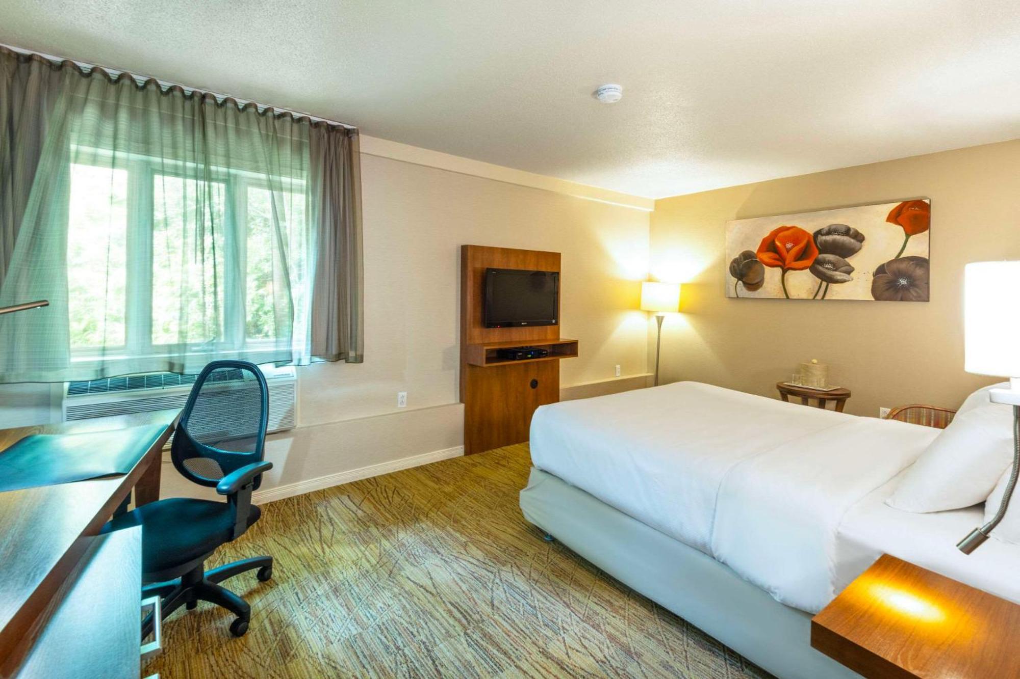 Comfort Inn Mont Laurier Ngoại thất bức ảnh